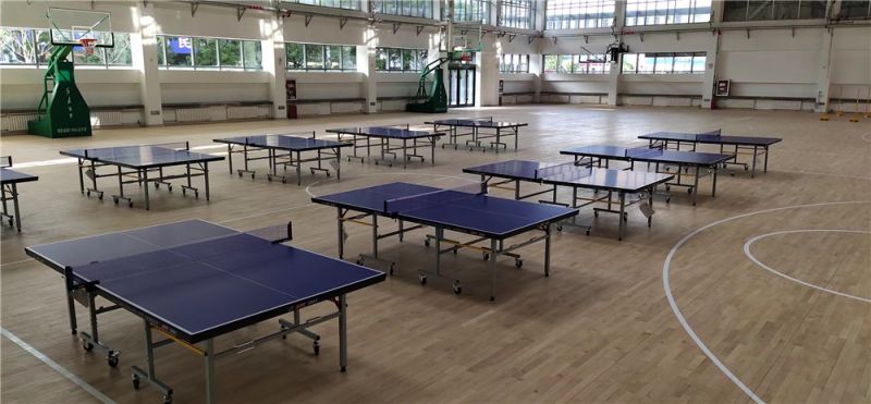 紅雙喜2023球臺(tái)